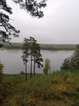 Nuotrauka