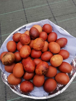 Nuotrauka