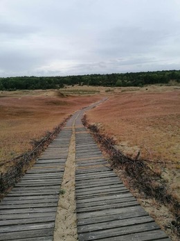 Nuotrauka