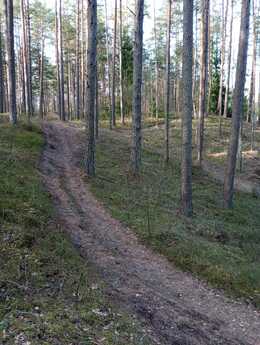 Nuotrauka