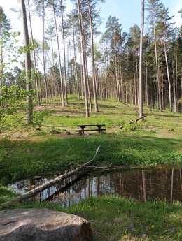 Nuotrauka
