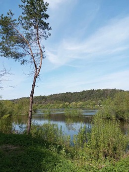 Nuotrauka