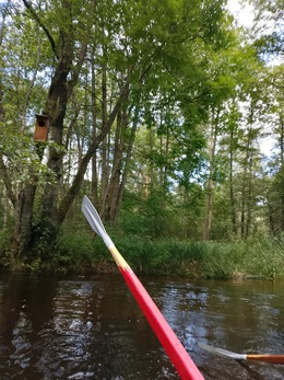 Nuotrauka