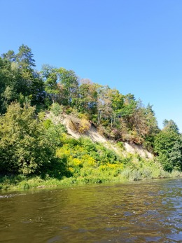 Nuotrauka