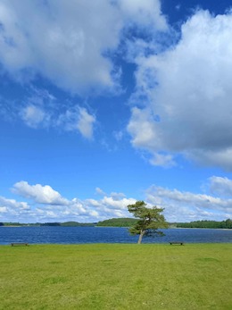 Nuotrauka